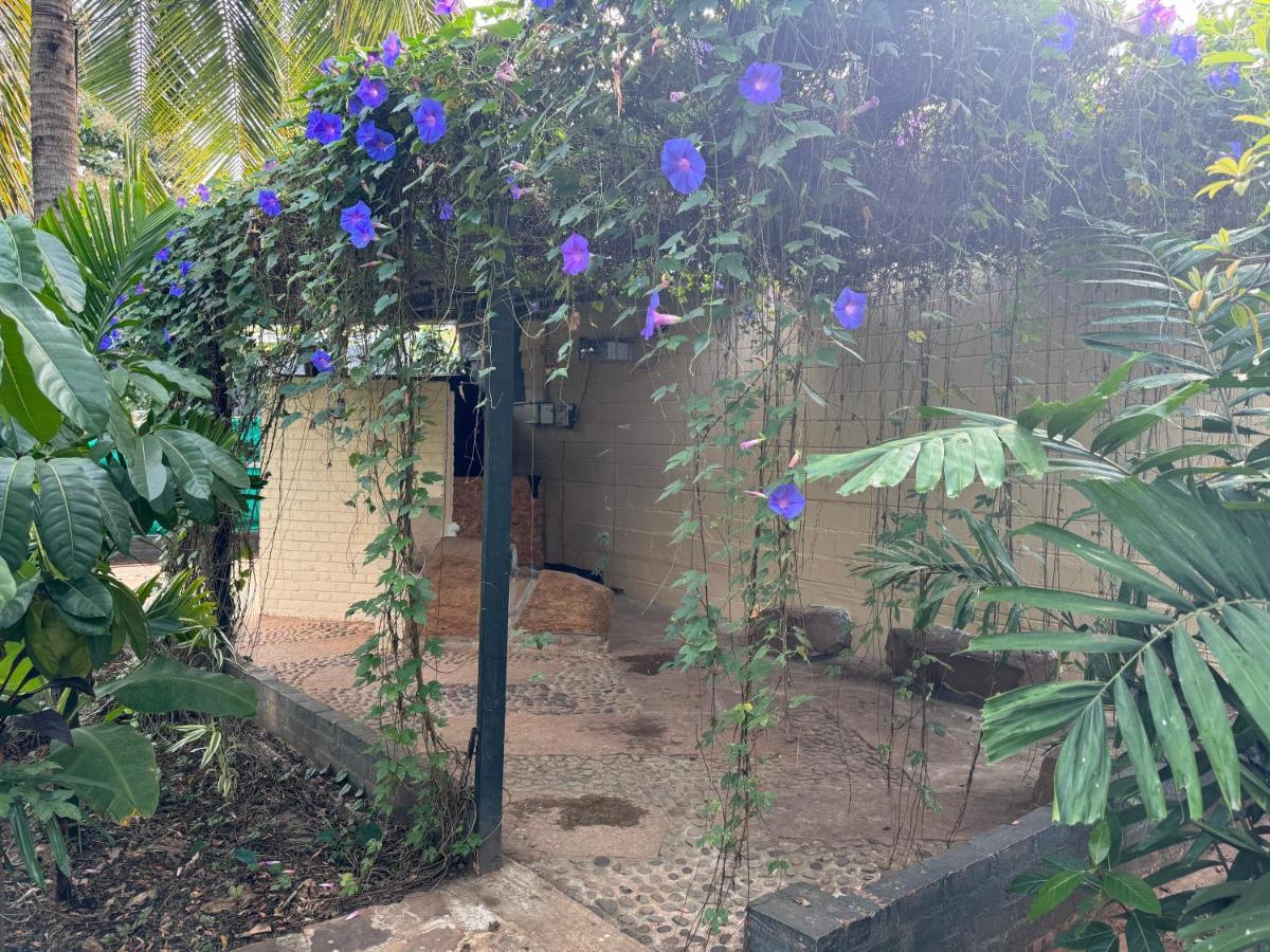 Chikoo Farm Inn Μπανγκαλόρ Εξωτερικό φωτογραφία